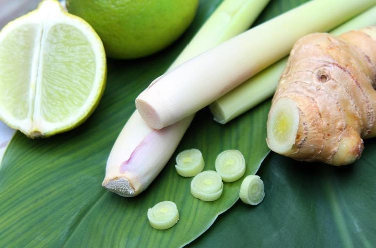 LİMON OTU (CITRONELLA)