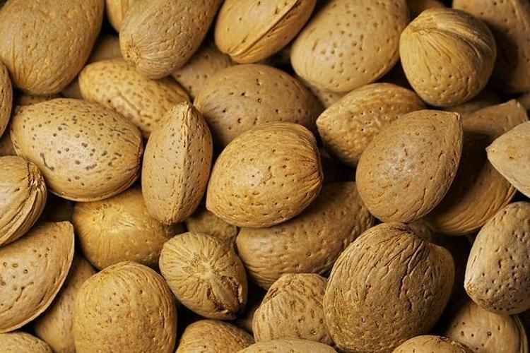 Dünyanın faydalı besini seçildi Magnezyum, antioksidan, protein ne varsa onda: Tek başına şifa ambarı