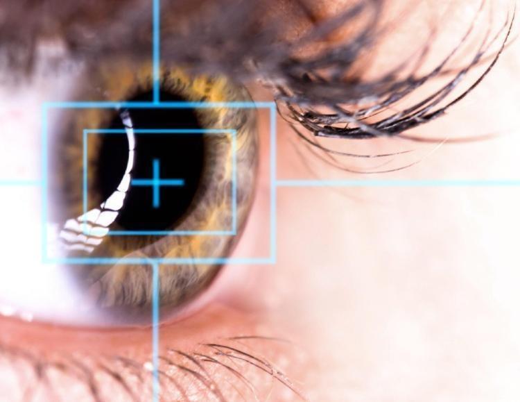 YAZIN BELİRGİN BİR ARTIŞ GÖSTERİYOR