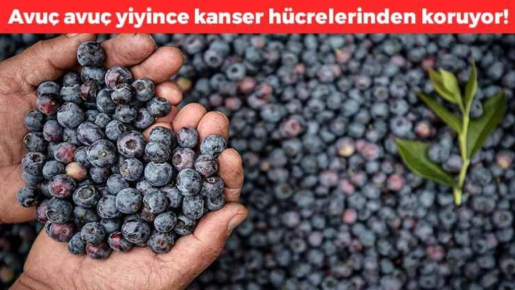 1 porsiyon yemek kanserden koruyor Vitamin kralı olarak biliniyor, vücuda enerji yüklemesi yapıyor, antioksidan deposu
