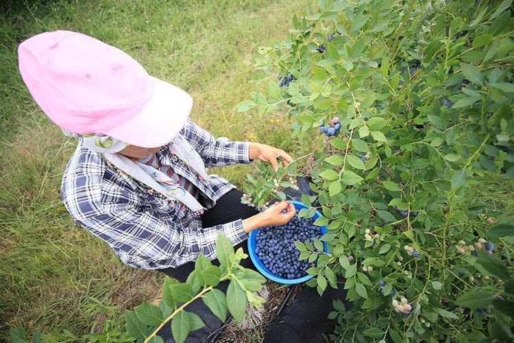 KALP SAĞLIĞINA İYİ GELİYOR