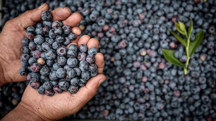 SİNDİRİM SAĞLIĞINI KORUYOR