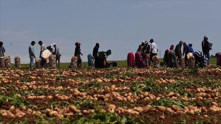 PATATES NASIL TÜKETİLMELİDİR