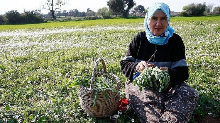 KAN ŞEKERİNİ DÜZENLER