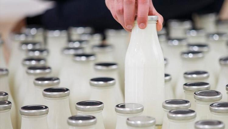 Türkiyede kimse kıymetini bilmiyor Fransızlar lıkır lıkır içiyor: Anne sütüne en yakını o, kemikleri beton gibi sağlamlaştırıyor