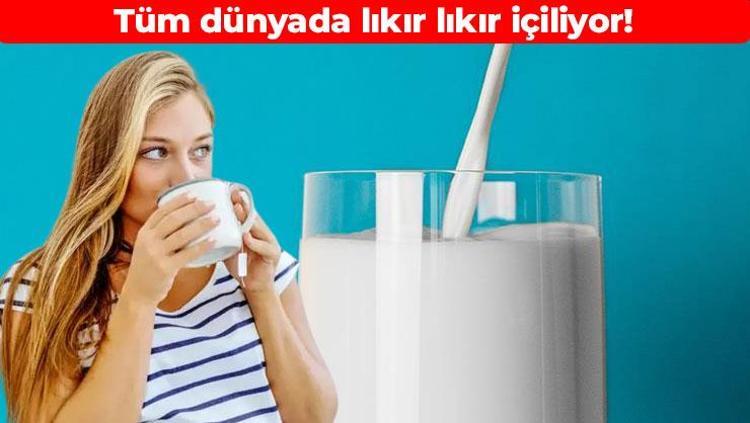 Türkiyede kimse kıymetini bilmiyor Fransızlar lıkır lıkır içiyor: Anne sütüne en yakını o, kemikleri beton gibi sağlamlaştırıyor