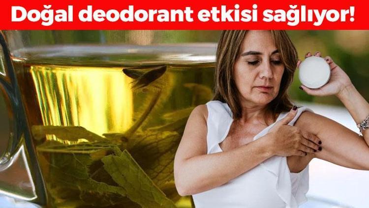 Şıpır şıpır terleme sorununu kökten çözüyor Bir pamuğa döküp koltuk altına sürünce doğal deodorant etkisi sağlıyor, ter bezlerini yavaşlatıyor