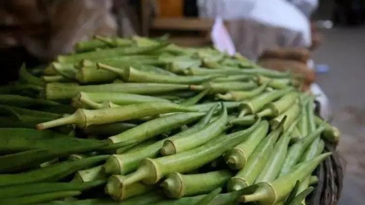 KANSER RİSKİNİ AZALTIYOR