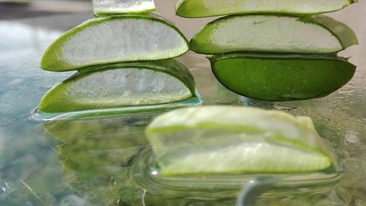 ALOE VERA