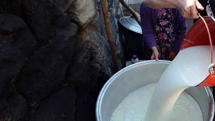 Marilyn Monroe formunu böyle koruyormuş 12 saat tok tutma garantili: Vücuda protein yükleyip kas yaptırıyor