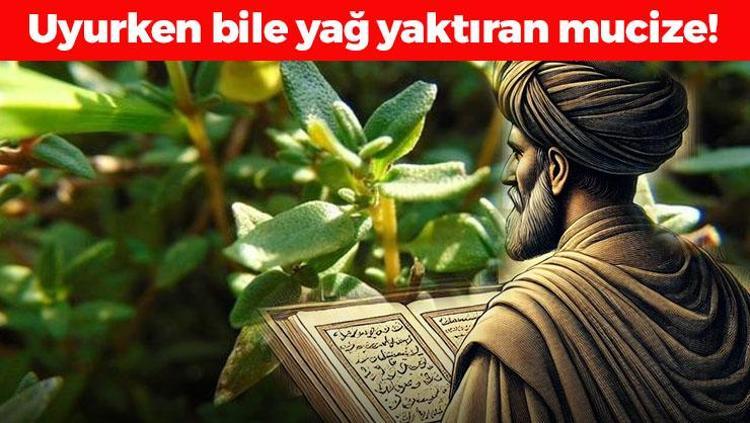 İbn-i Sinanın 1000 yıl önce verdiği tarif Metabolizma hızını yüzde 100e çıkartıyor, 1 bardağı uyurken bile yağ yaktırıyor