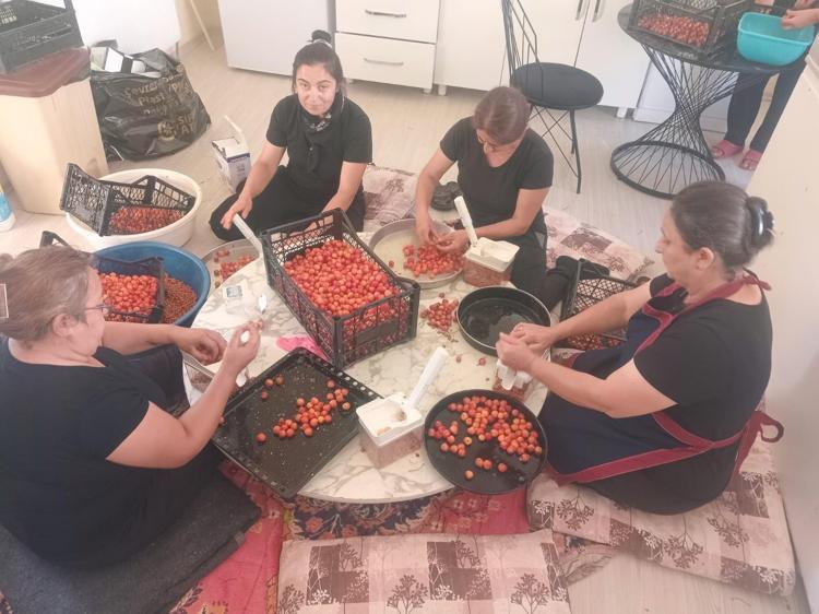 Yozgattan Japonyaya kilo kilo satılıyor Kolesterolü damardan siliyor, kendisi ayrı çekirdeği ve sapı ayrı şifa saçıyor Doğal tansiyon ilacı