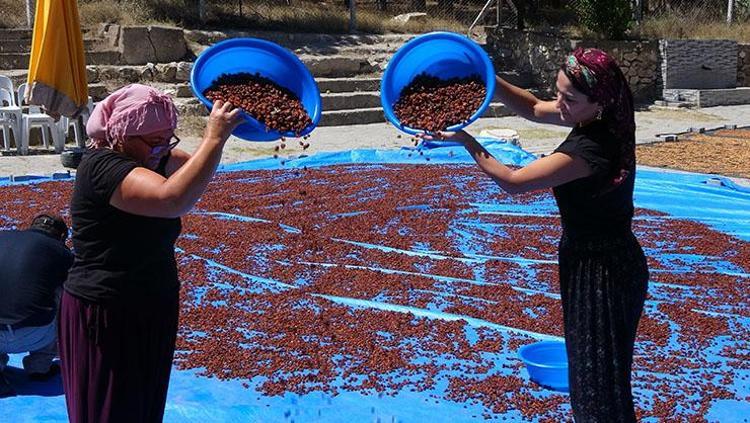 “KİRAZLARI JAPONYAYA GÖNDERİYORUZ”