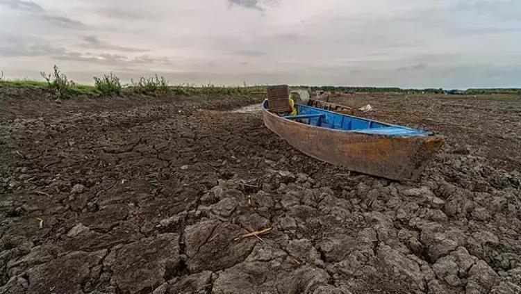 BABA VANGANIN BUGÜNE KADAR TUTMAYAN TAHMİNLERİ