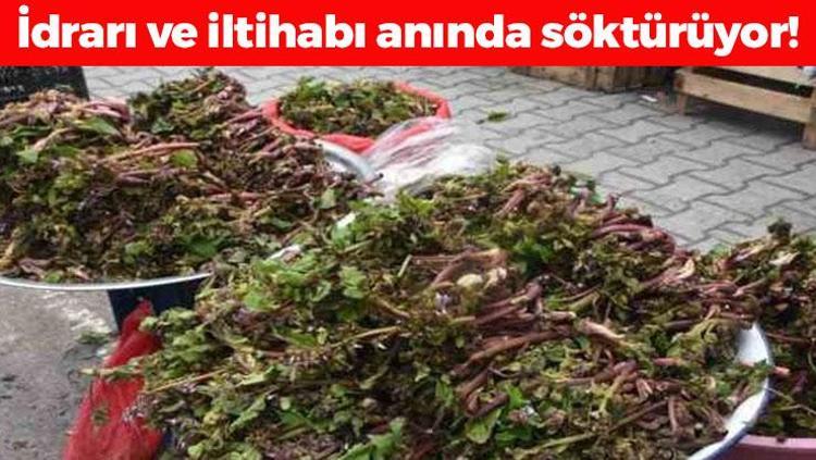 Pazarda kapış kapış satılıyor Doğal idrar söktürücü, balgamın ve iltihabın kökünü kazıyor Kabızlığa en doğal çareymiş