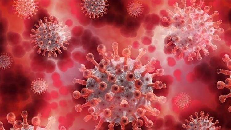Maymun çiçeğinde ilk karantina başladı Salgında bir ilk: Karantina başladı, izler hem yüzünde hem de göğsünde belirdi
