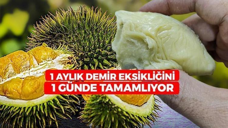 Vücudun 1 aylık demir eksiğini 1 günde tamamlıyor Halk arasında Meyvelerin Kralı olarak biliniyor