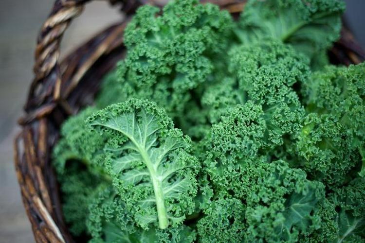 KALE