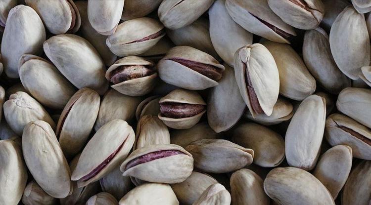 Şimdi tam mevsimi Manisada özenle toplandı pazar tezgahlarında yerini aldı: protein depolarını doldurup taşırıyor, yeşil altın olarak biliniyor
