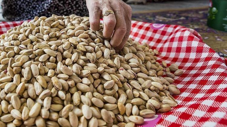 Şimdi tam mevsimi Manisada özenle toplandı pazar tezgahlarında yerini aldı: protein depolarını doldurup taşırıyor, yeşil altın olarak biliniyor