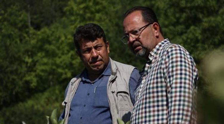 Süper meyve aronyanın faydaları nelerdir