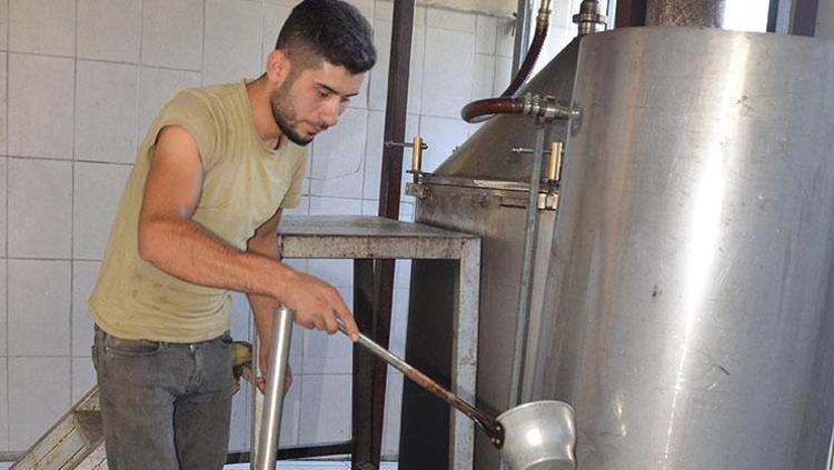 Toroslardan tüm dünyaya yayılıyor 100 kilo bitkiden 1 litre çıkıyor: Altın değerinde doğal antibiyotik, limon ve sarımsaktan 30 kat daha güçlü