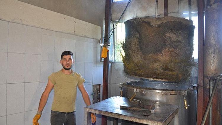 “KAZANA YÜZ KİLOGRAM BİTKİDEN ORTALAMA BİR LİTRE YAĞ ÇIKAR”