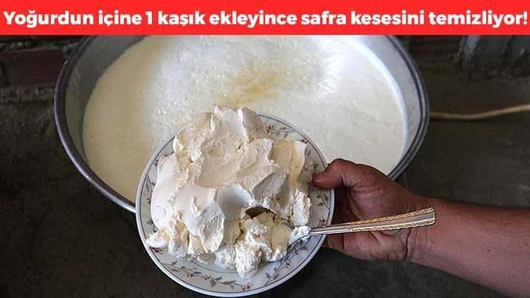 Yoğurdun içine 1 kaşık ekleyin Karaciğerdeki toksinleri atıyor, safra kesesini yeniliyor, vücuda reset atıyor