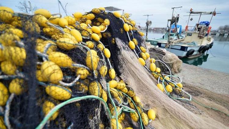 Av yasağı sona erdi, fiyatı 75 TLye düştü Dünyanın en güçlü omega-3 kaynağı, bağışıklığı çelik gibi yapıyor