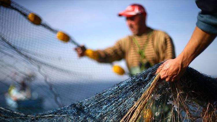 Av yasağı sona erdi, fiyatı 75 TLye düştü Dünyanın en güçlü omega-3 kaynağı, bağışıklığı çelik gibi yapıyor