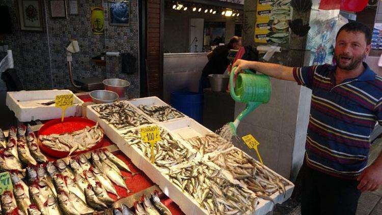 Av yasağı sona erdi, fiyatı 75 TLye düştü Dünyanın en güçlü omega-3 kaynağı, bağışıklığı çelik gibi yapıyor