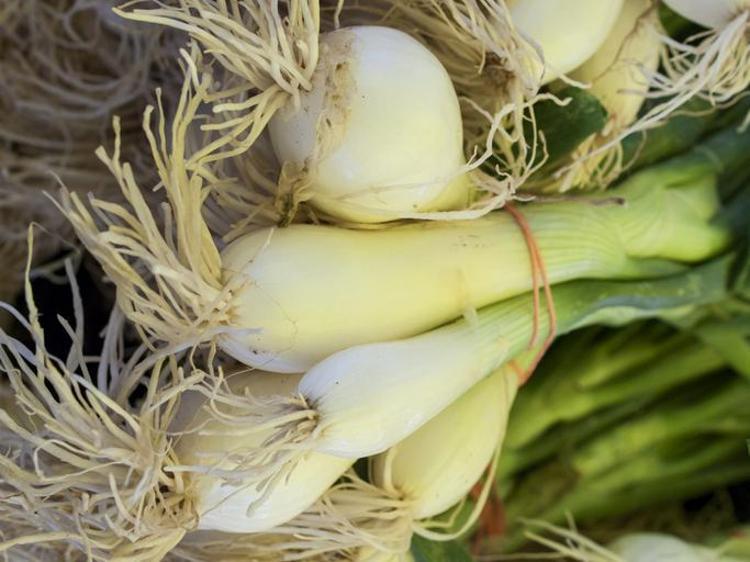 DAIKON TURPU VE DİĞER SEBZELER