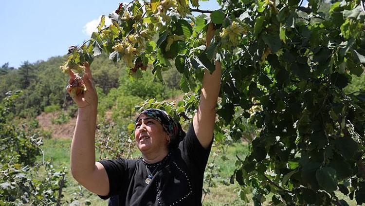 ADANADA YETİŞTİĞİNE İNANMIYORLAR