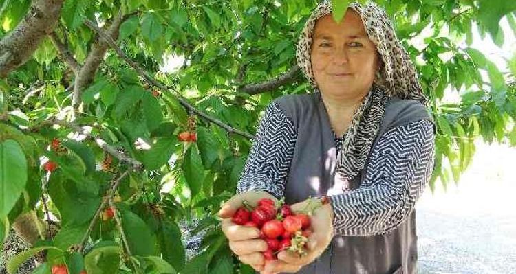 SİNDİRİM SİSTEMİNİ HIZLANDIRIYOR