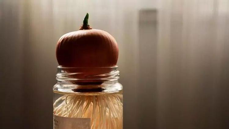 SAÇ DÖKÜLMESİNİ AZALTIR