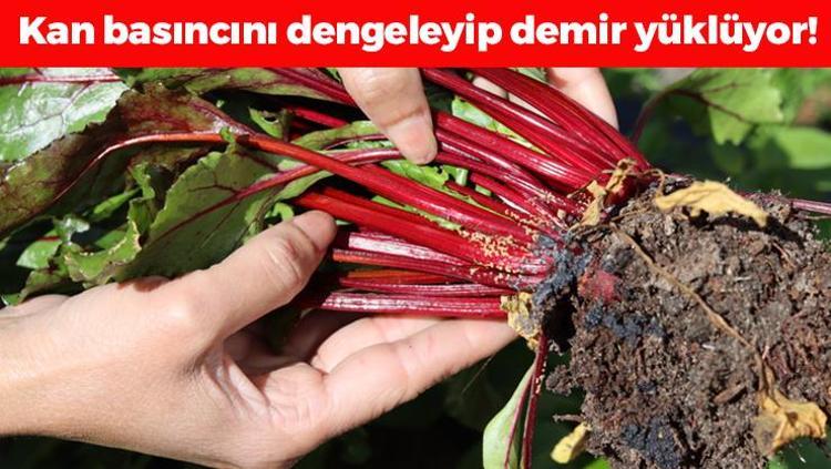Doğanın demir kralı Kan basıncını dengeleyip yağları şıpır şıpır eritiyor: 1 bardağı bile metabolizmayı 20 kat hızlandırıyor