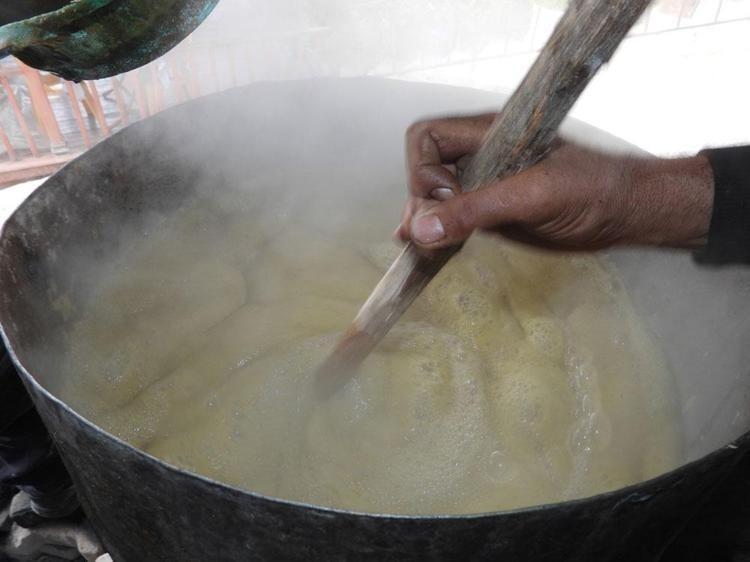 Türkiyede en çok Hatayda yetişiyor Ticaretini yapan zengin oluyor: Saç egzaması ve kaşıntısının çaresi onda