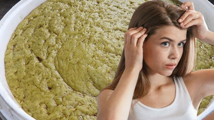 Türkiyede en çok Hatayda yetişiyor Ticaretini yapan zengin oluyor: Saç egzaması ve kaşıntısının çaresi onda