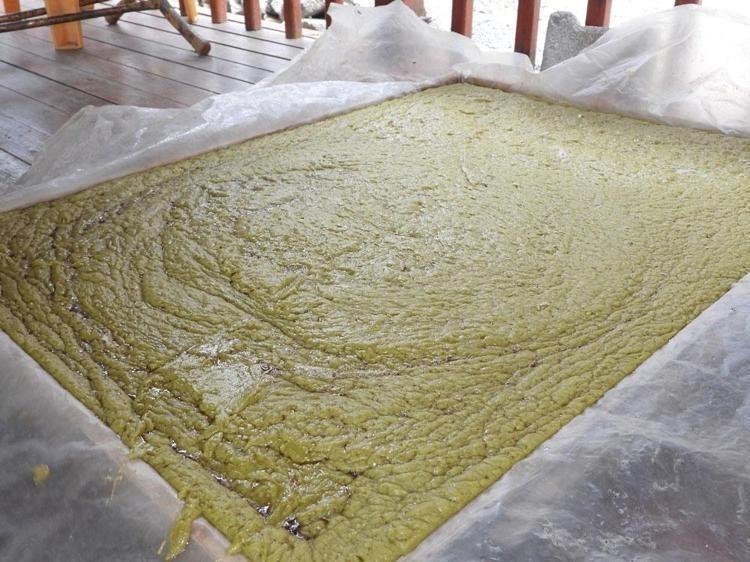 Türkiyede en çok Hatayda yetişiyor Ticaretini yapan zengin oluyor: Saç egzaması ve kaşıntısının çaresi onda