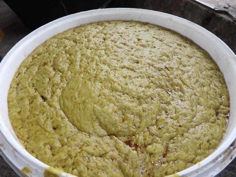 Türkiyede en çok Hatayda yetişiyor Ticaretini yapan zengin oluyor: Saç egzaması ve kaşıntısının çaresi onda