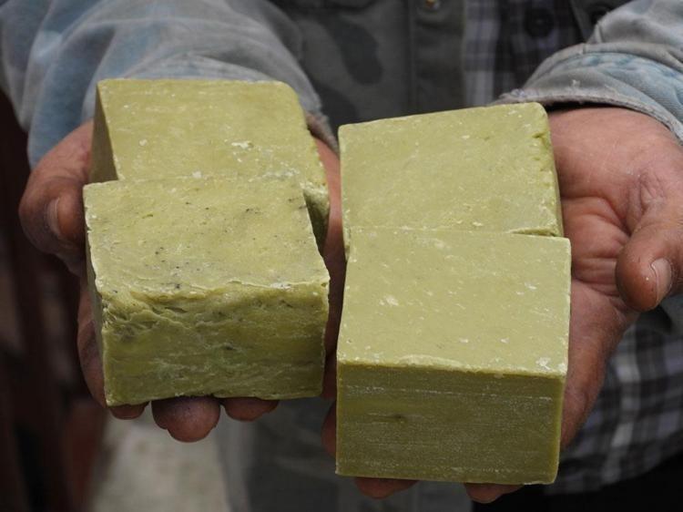 Türkiyede en çok Hatayda yetişiyor Ticaretini yapan zengin oluyor: Saç egzaması ve kaşıntısının çaresi onda