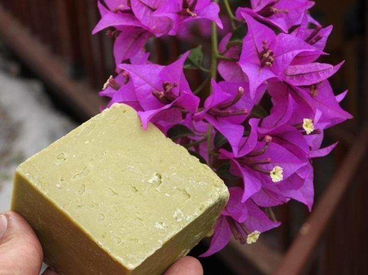 Türkiyede en çok Hatayda yetişiyor Ticaretini yapan zengin oluyor: Saç egzaması ve kaşıntısının çaresi onda