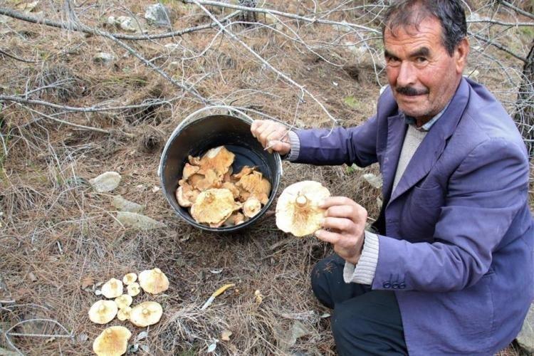 DÜŞÜK KALORİLİ VE TOK TUTUCUDUR