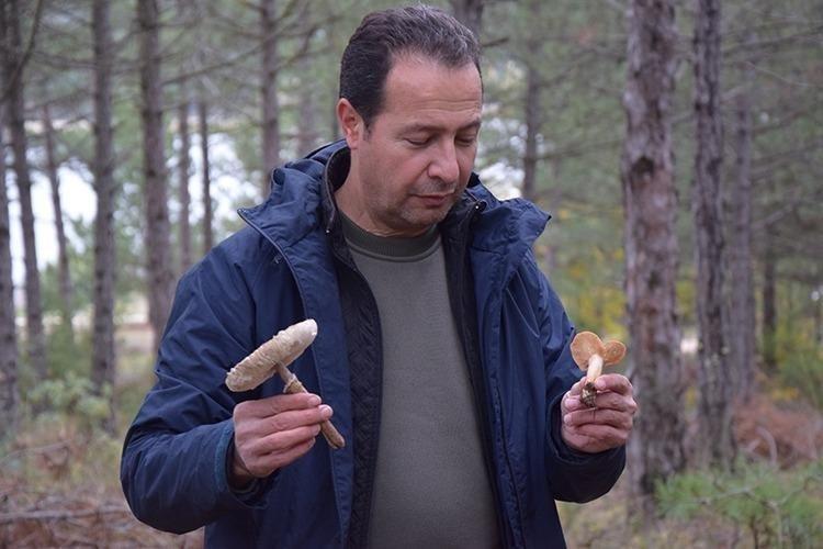 ANTİOKSİDAN ÖZELLİKLER GÖSTERİR