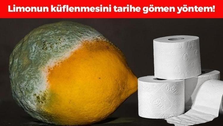 1 parça koymak yetiyor: Limonun çürümesini önleyen tek yöntem 2 hafta boyunca tazecik kalıyor, küflenmeyi önlüyor