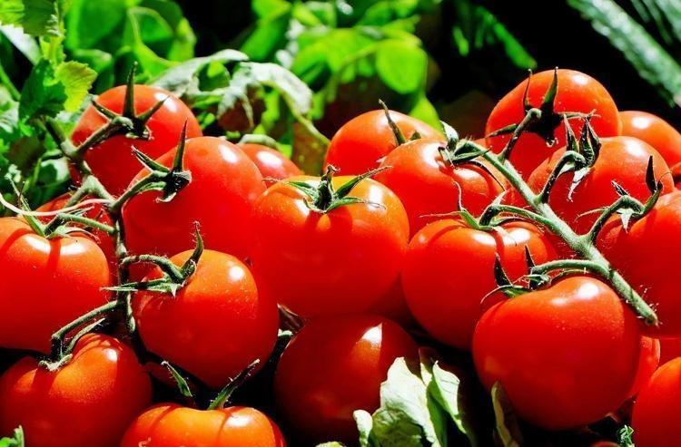 METABOLİZMA HIZLANDIRIP KİLO VERDİREN MUCİZE