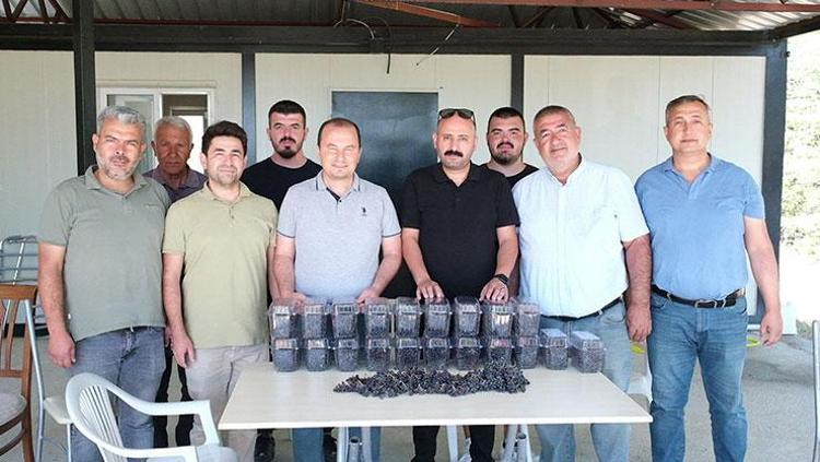 OTURDUKLARI YERDEN TOPLUYORLAR