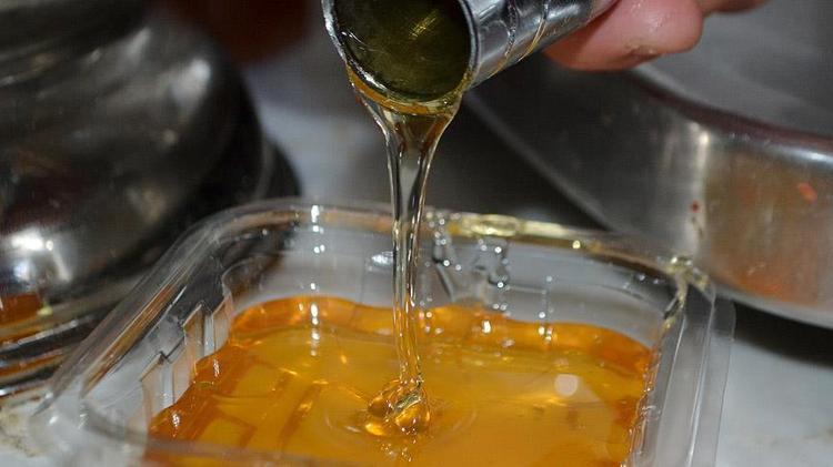 Dededen toruna miras kaldı 3 kuşaktır bu işi yapıyorlar: Faydaları say say bitmiyor, vücuda vitamin yükleyip kolesterolün kökünü kurutuyor