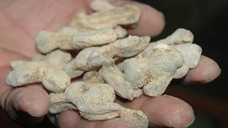 Aslında göbeğiniz yok bağırsaklarınız dışkıyla dolu Günde 1 bardak içmek yetiyor: Bağırsakları çamaşır suyuyla temizlemiş gibi yapıyor, sindirimi rahatlatıp kabızlığın kökünü kurutuyor, metabolizma hızını 100e çıkarıyor