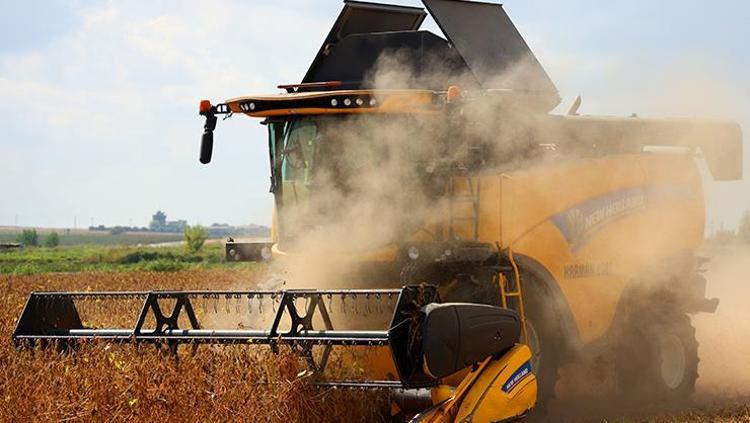 Adanada hasadı başladı Kilosu 14 TL: Protein ve kalsiyumda inek sütünü solluyor Doğal şeker ilacı, Japonların da favorisi